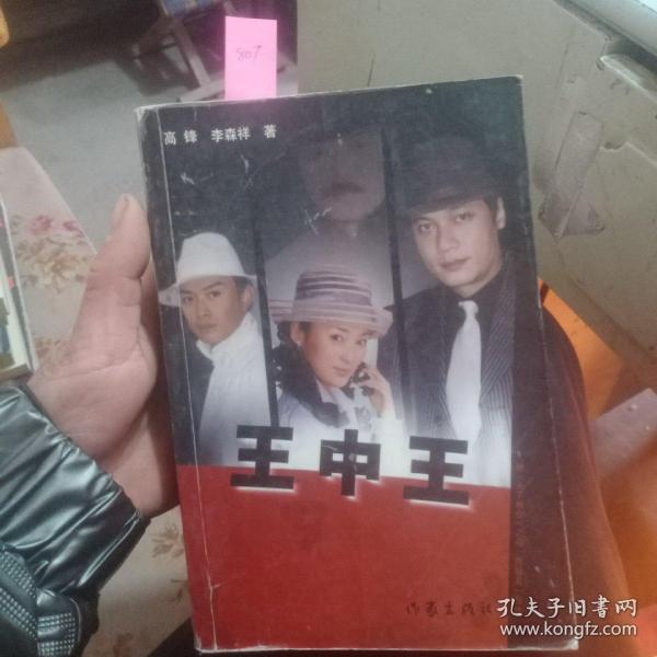 王中王資料一肖中天，深度解析與探索，王中王資料一肖中天，深度剖析與探索