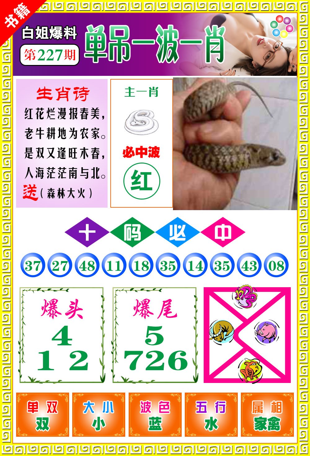 王中王免費(fèi)開獎(jiǎng)一肖結(jié)果，揭秘彩票背后的秘密，揭秘王中王彩票開獎(jiǎng)內(nèi)幕，一肖結(jié)果背后的秘密揭曉