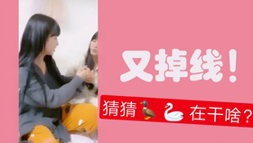 王中王欲錢詩(shī)猜一肖，王中王欲錢詩(shī)暗示的生肖之謎