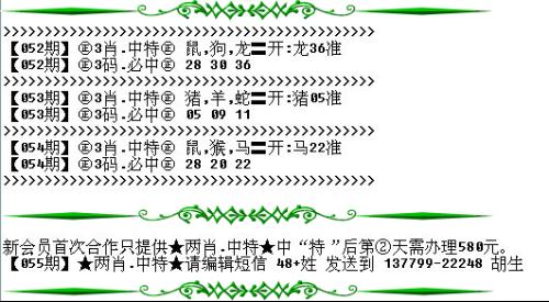 澳門必開一生一肖碼，揭秘背后的秘密與真相，澳門必開一生一肖碼揭秘內(nèi)幕與真相