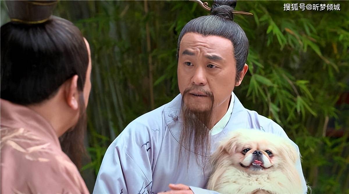 揭秘劉伯溫四不象一肖的神秘面紗——探尋背后的傳奇故事，揭秘劉伯溫四不象一肖背后的傳奇故事，神秘面紗下的神秘傳說(shuō)