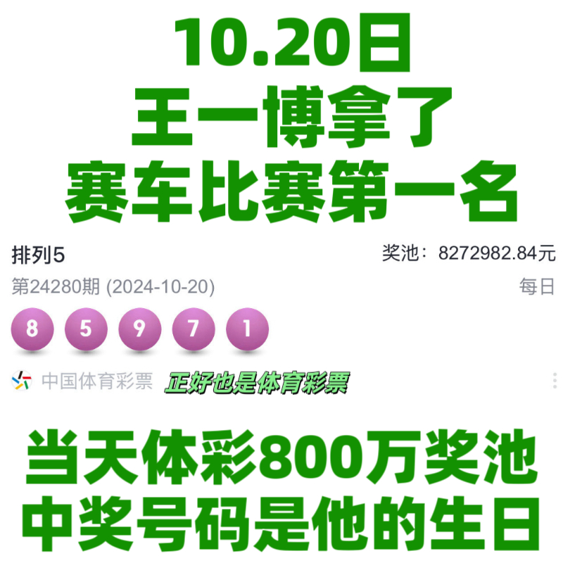 王中王一肖資料中特馬——深度解析與SEO洞察，王中王一肖特馬深度解析與SEO洞察揭秘