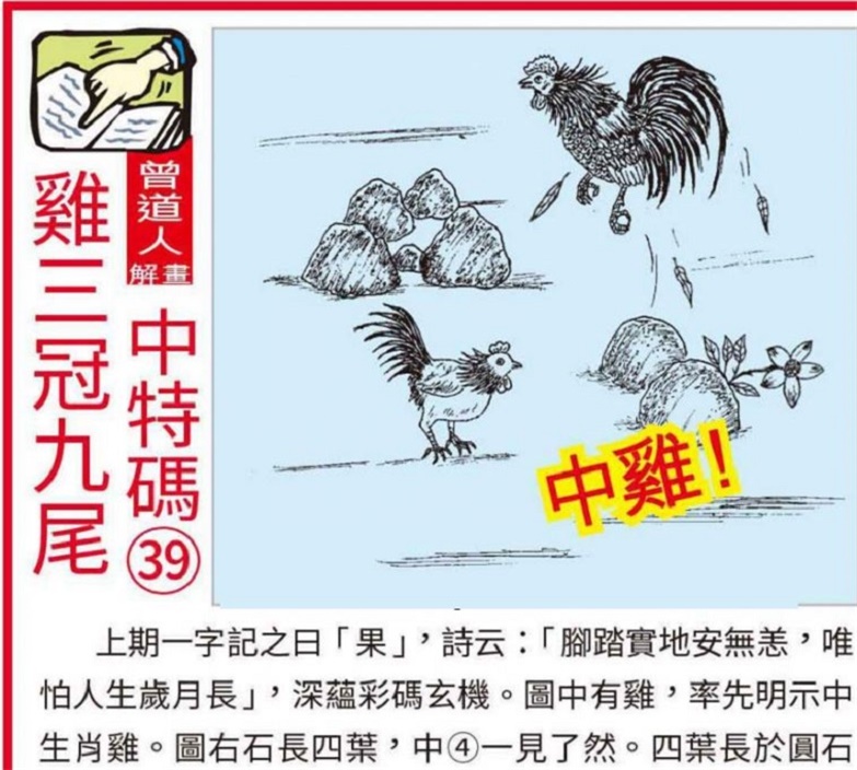 澳門2025全年資料大全正版資料權(quán)威指南，澳門2025全年正版權(quán)威指南，全面資料大全與權(quán)威解讀