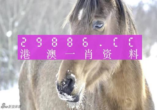 澳門一肖一碼背后的故事，精準(zhǔn)背后的秘密與傳奇，澳門一肖一碼背后的秘密與傳奇故事揭秘