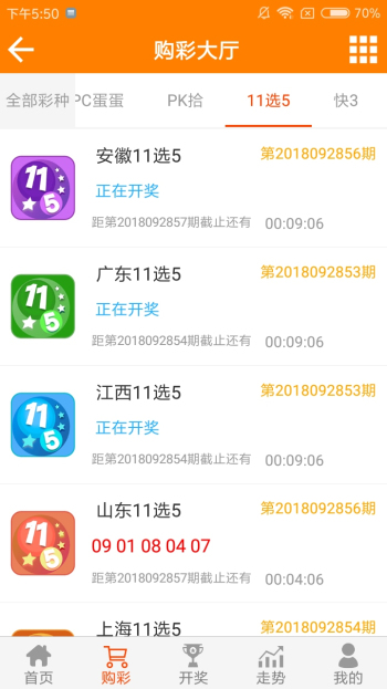 王中王資料一肖一特，深度解析與探索，王中王資料一肖一特，深度解析與探索揭秘