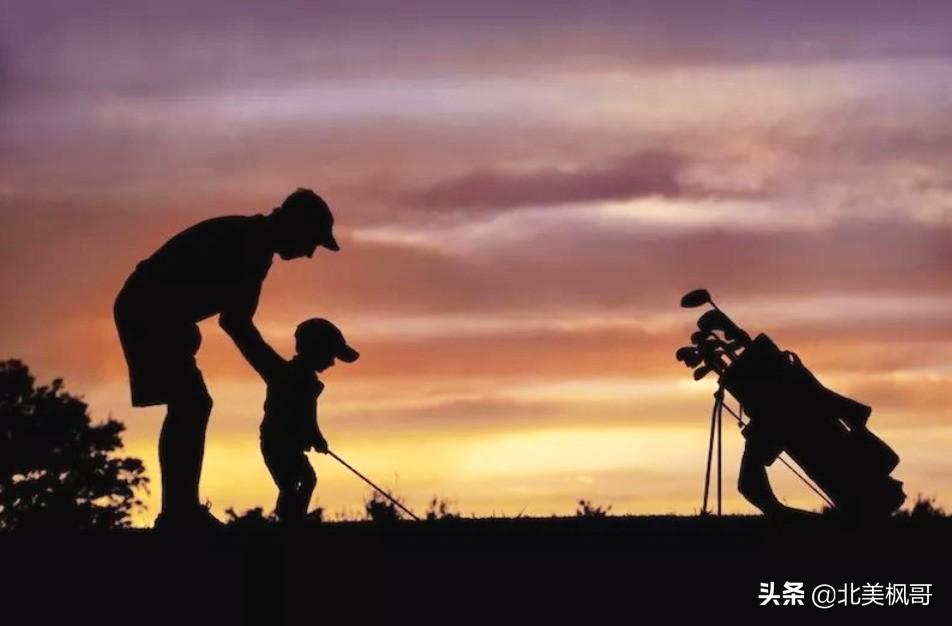 森林高手王中王與神秘生肖——深度解讀背后的故事與秘密，森林高手王中王與神秘生肖，故事背后的深度解讀與秘密探尋