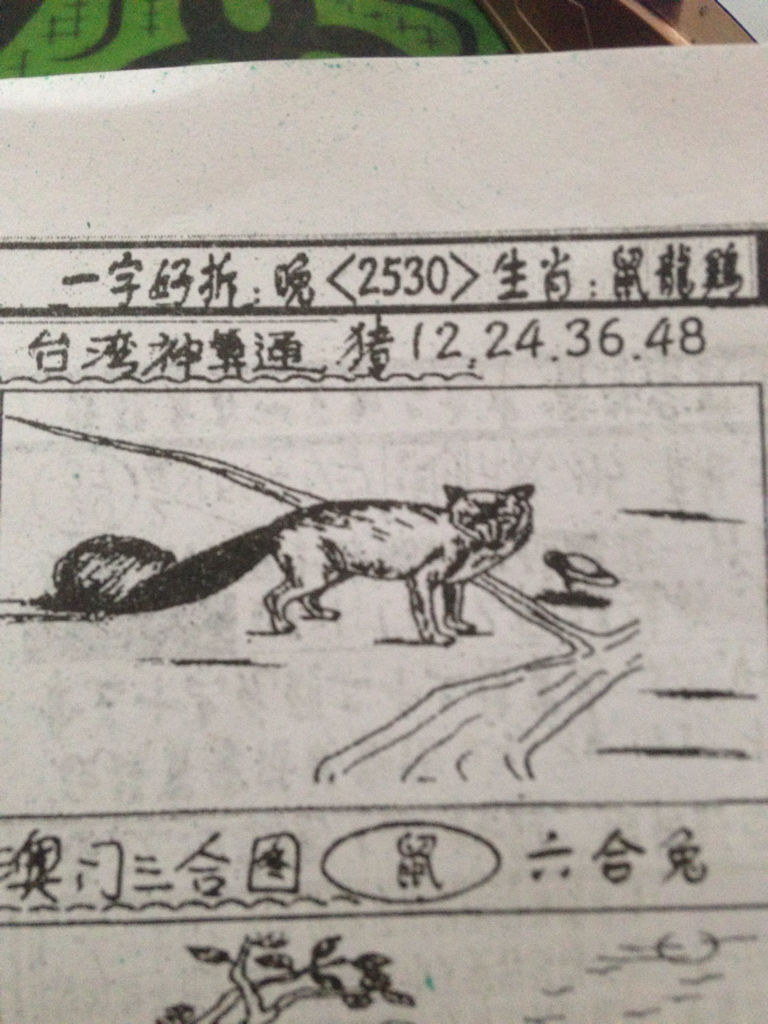 揭秘生肖奧秘，看圖猜一生肖劉伯溫的傳奇故事，揭秘生肖奧秘，劉伯溫傳奇故事中的生肖之謎探索