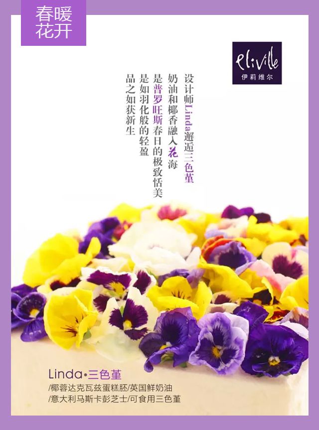 王中王339期指一生肖——探尋背后的秘密與玄機，探尋王中王339期生肖背后的秘密與玄機