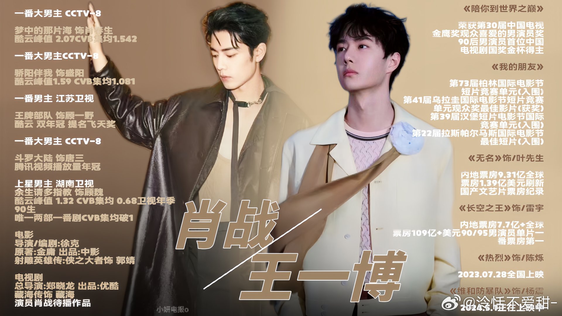 王中王一肖中特全年資料解析與SEO優(yōu)化策略，王中王一肖中特全年資料解析與SEO策略詳解