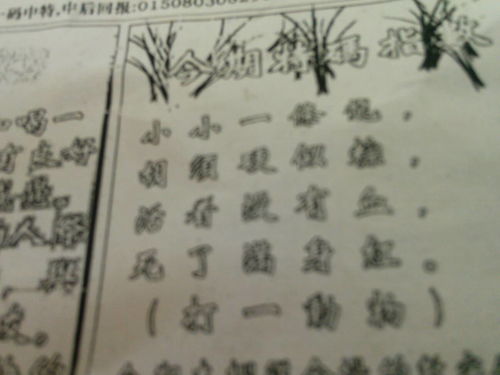 揭秘劉伯溫的一肖一特，探尋神秘傳奇背后的真相，劉伯溫傳奇揭秘，揭秘生肖之謎與獨(dú)特特質(zhì)背后的真相