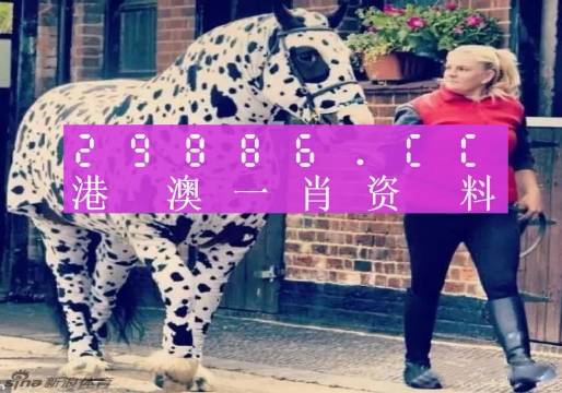 澳門王中王，揭秘一肖中特資料背后的秘密，澳門王中王揭秘，一肖中特資料背后的秘密傳奇
