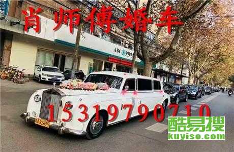 王中王車奪平特一肖免費(fèi)——深度解析與探索，王中王車奪平特一肖，深度解析與免費(fèi)探索