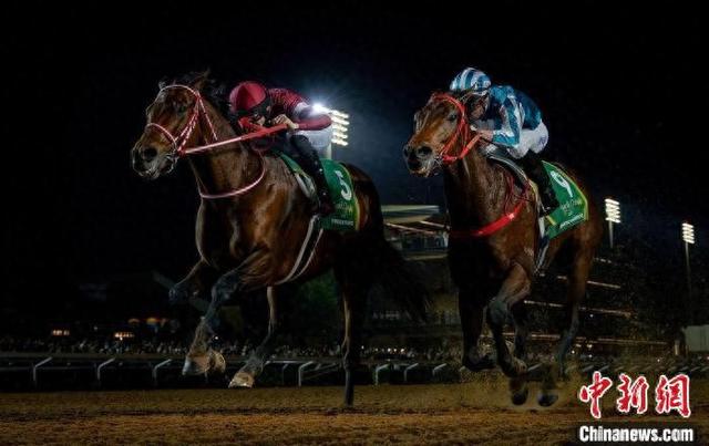 香港王中王一肖中特馬，探索背后的奧秘，香港王中王一肖中特馬背后的奧秘探索