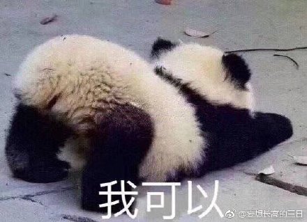 揭秘劉伯溫特一肖與四不像的神秘面紗——探尋背后的故事與真相，劉伯溫特一肖與四不像背后的故事與真相揭秘