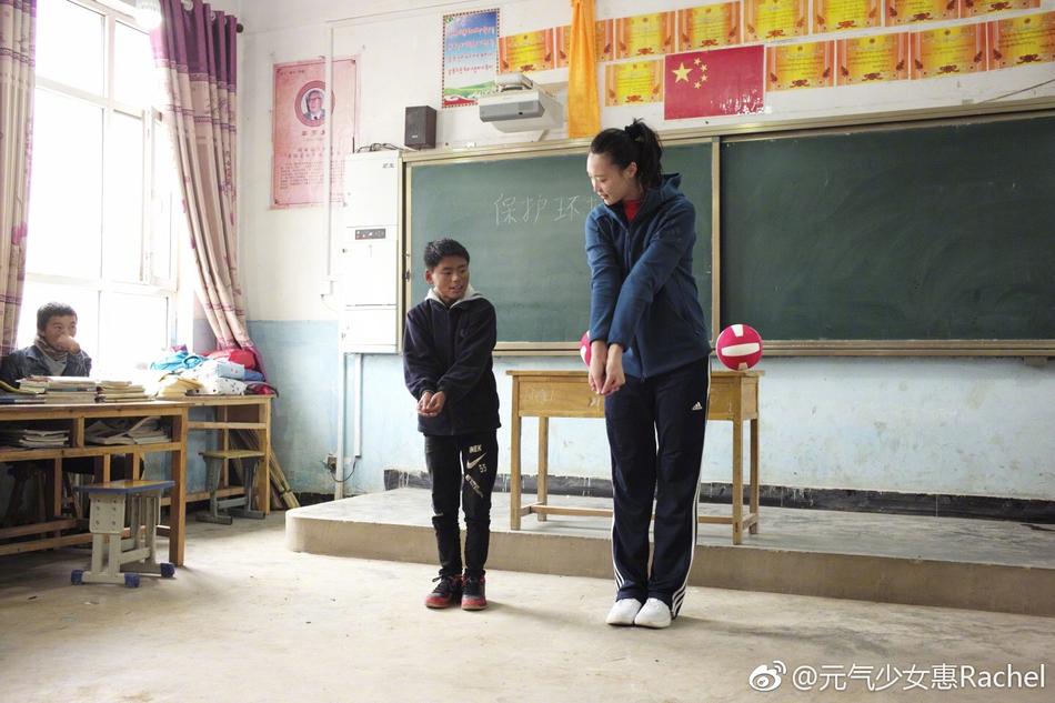 王中王平特一肖一大公開，深度解析與探索，王中王平特一肖公開，深度解析與探索揭秘