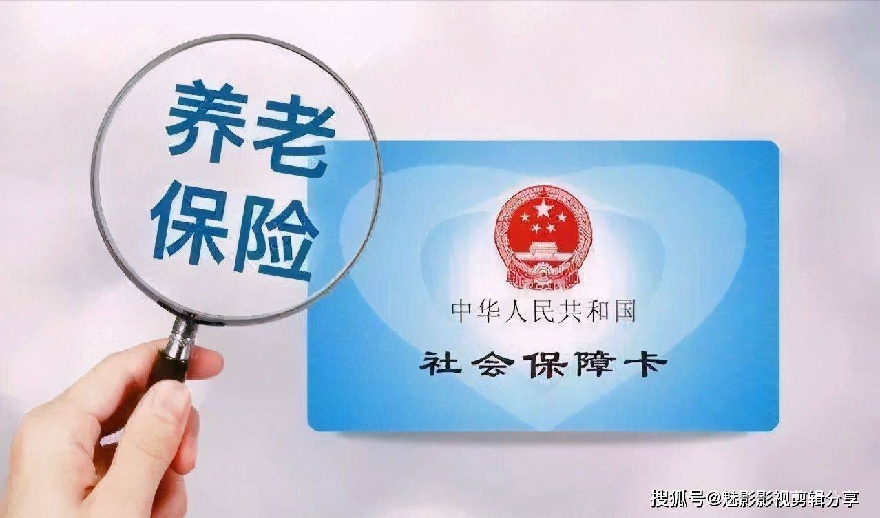 揭秘王中王一期一肖特中獎(jiǎng)背后的秘密，王中王一期一肖特中獎(jiǎng)背后的秘密揭秘