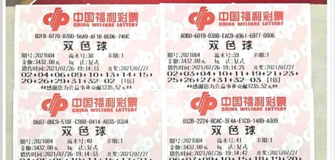 王中王084期指一生肖，解讀背后的秘密與生肖運勢分析，王中王084期生肖揭秘，秘密解讀與運勢展望