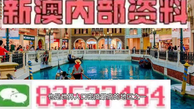 澳門(mén)王中王六碼新澳門(mén)，探索與解析，澳門(mén)王中王六碼新澳門(mén)，深度探索與解析