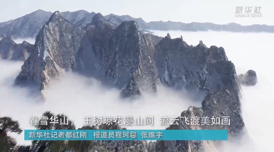 澳門最精準(zhǔn)龍門，探索真正的精準(zhǔn)之道，澳門最精準(zhǔn)龍門，揭秘真正的精準(zhǔn)之道