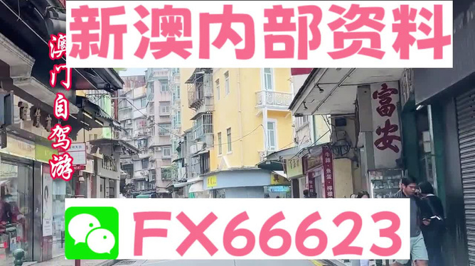 新澳精準(zhǔn)資料免費(fèi)提供，探索與利用資源助力成功，新澳精準(zhǔn)資料免費(fèi)分享，助力成功探索與利用資源