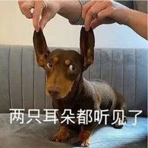 王中王四不象必中一肖，揭秘背后的秘密與策略，揭秘王中王四不象必中一肖背后的秘密與策略之道