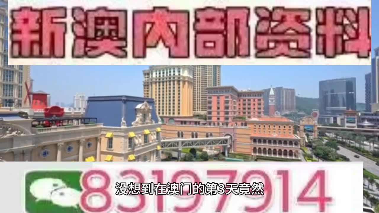 新澳門(mén)今晚必開(kāi)一肖一特，探索生肖與特碼的魅力，澳門(mén)生肖特碼探索，今晚必開(kāi)一肖一特之魅力
