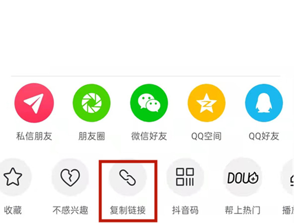 白小姐王中王中特一肖，神秘傳奇與SEO探索，神秘傳奇與SEO探索，白小姐王中王中特一肖的奧秘
