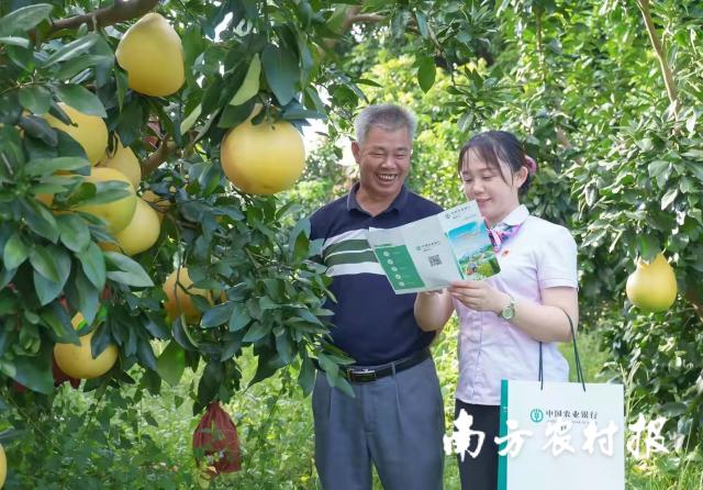 資料大全正版資料2025，一站式獲取所有你需要的信息，資料大全正版資料2025，一站式獲取所有信息總匯