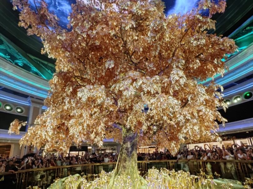 澳門搖錢樹開獎(jiǎng)最快——探索彩票世界的神秘魅力，澳門搖錢樹彩票開獎(jiǎng)揭秘，探索神秘彩票世界的魅力