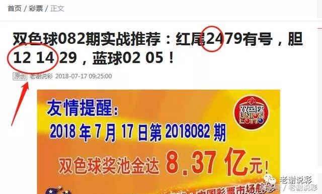 王中王082期指一生肖——探尋生肖魅力，洞悉運(yùn)勢(shì)奧秘，探尋生肖魅力，揭秘運(yùn)勢(shì)奧秘——王中王生肖運(yùn)勢(shì)解析 082期