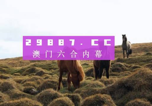 澳門六開獎(jiǎng)結(jié)果2023開獎(jiǎng)記錄查詢網(wǎng)站——全面解析與最新資訊，澳門六開獎(jiǎng)結(jié)果最新解析與資訊，全面查詢2023年開獎(jiǎng)記錄