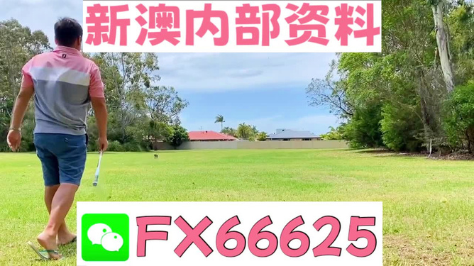 王中王一碼二肖，揭秘背后的秘密，揭秘王中王一碼二肖背后的秘密