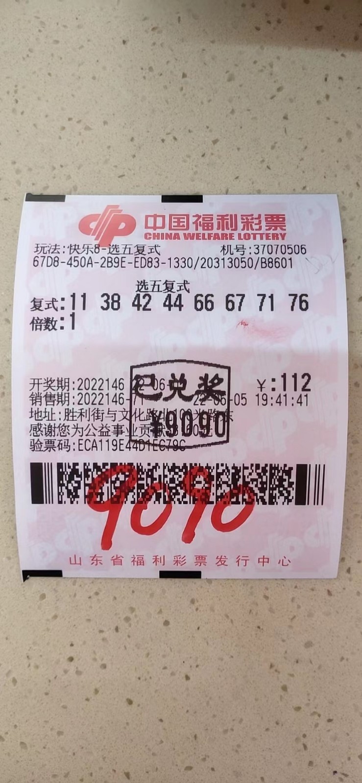 揭秘002期王中王平特一肖，背后的故事與奧秘，揭秘王中王平特一肖背后的故事與奧秘（第002期）