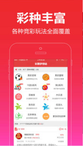 一肖王中王，探尋生肖魅力與SEO優(yōu)化之道，生肖魅力探尋與SEO優(yōu)化策略解析