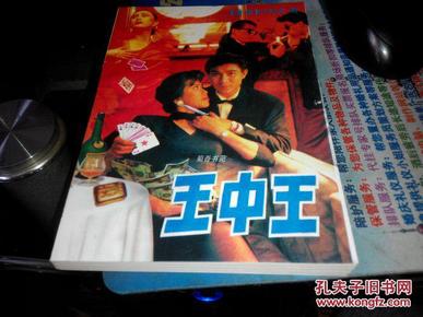 王中王資料一肖中特小說，深度解析與探索，王中王資料一肖中特小說的深度解析與探索之旅