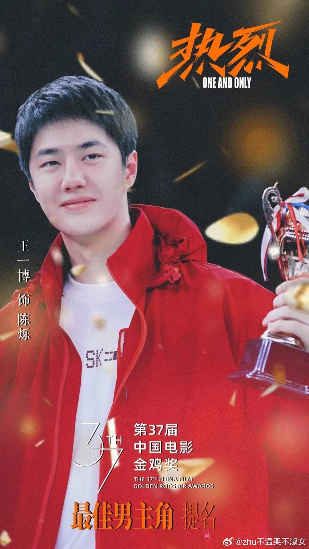 王中王一肖一特一中一中，探尋背后的故事與奧秘，探尋王中王一肖背后的故事與奧秘