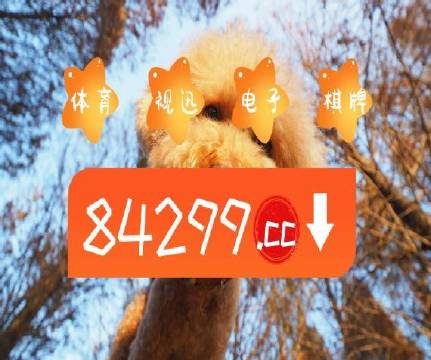 澳門天天開彩好正版掛牌第168期，探索彩票的魅力與策略，澳門彩票探索，魅力與策略揭秘 第168期正版掛牌開彩體驗
