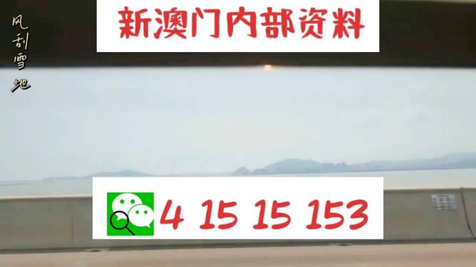 新澳2025最新資料生肖，深度解析與預測展望，新澳2025最新生肖資料深度解析與未來預測展望