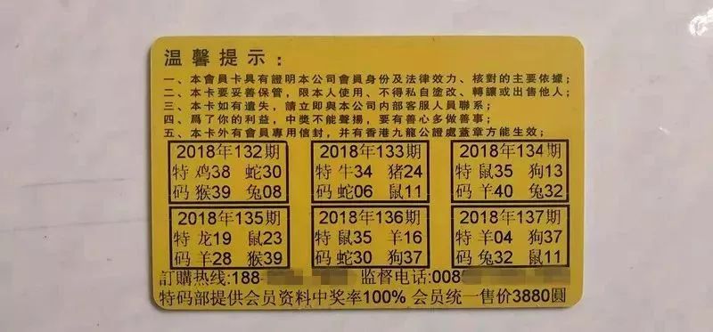 香港中特期期準(zhǔn)資料，深度解析與探索，香港中特期期準(zhǔn)資料深度解析與探索報(bào)告