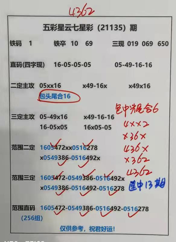 迎接美好未來，2025天天好彩，迎接美好未來，2025年天天精彩無限