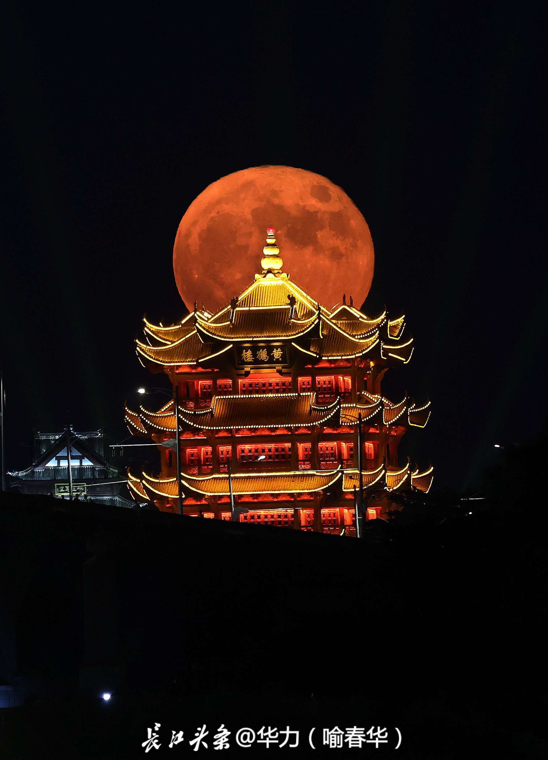 103期:【?黃鶴樓?歲月靜好?④肖中特】審核通過?黃鶴樓8888043.com