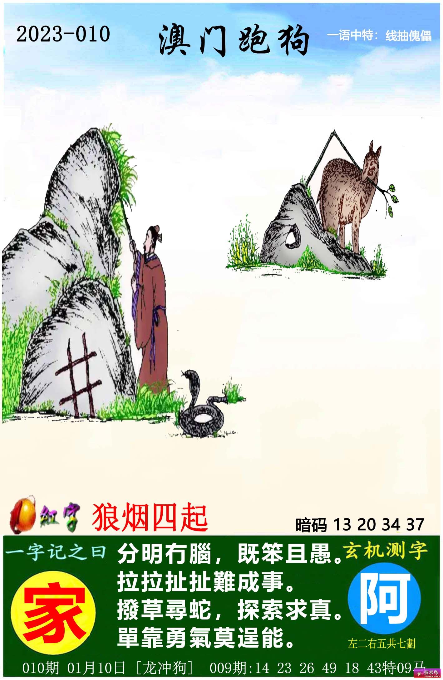 跑狗圖8888精準(zhǔn)正版，探索真實(shí)與樂趣的交融，跑狗圖8888精準(zhǔn)正版，真實(shí)與樂趣的交融探索