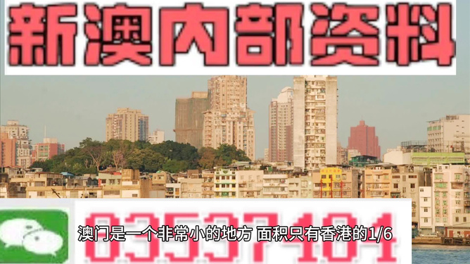 澳門精準(zhǔn)資料大全免費(fèi)，探索與解析，澳門精準(zhǔn)資料大全免費(fèi)解析探索