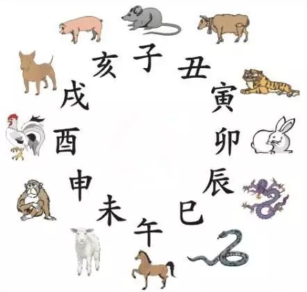 澳門天天彩期期精準(zhǔn)十二生肖預(yù)測——揭秘彩票秘密，澳門天天彩期期精準(zhǔn)十二生肖預(yù)測，揭秘彩票秘密之獨(dú)家解析