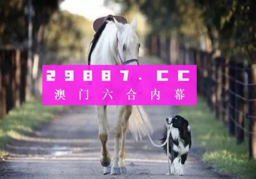 澳門彩的奧秘世界與SEO優(yōu)化策略探討 —— www.04812com的獨(dú)家解析，澳門彩奧秘與SEO優(yōu)化策略獨(dú)家解析，www.04812com深度探討