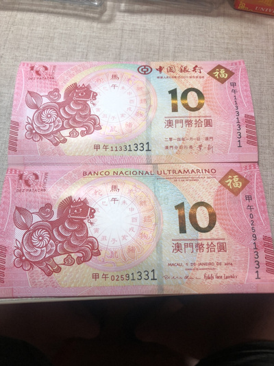 揭秘明天澳門必中生肖的神秘面紗，揭秘明天澳門必中生肖的神秘秘密