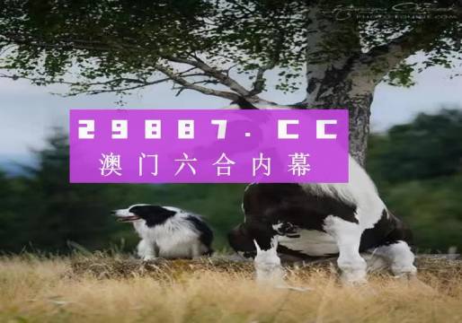 揭秘7777788888精準新跑狗——全方位解讀與體驗，揭秘精準新跑狗，全方位解讀與體驗7777788888跑狗秘籍
