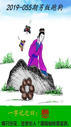 最新更新內(nèi)容，探索神秘的跑狗圖77777與88888的魅力，探索跑狗圖77777與88888的神秘魅力，最新更新內(nèi)容揭秘