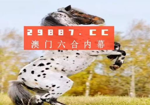 白小姐的精準(zhǔn)免費四肖，揭秘背后的秘密，揭秘白小姐精準(zhǔn)免費四肖背后的秘密