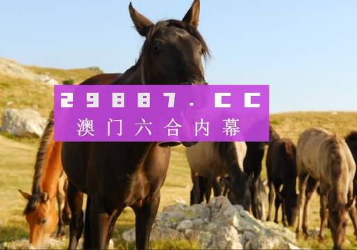 澳門管家婆一肖中特與香港阿飛免費印刷圖庫的獨特魅力 —— 2024澳門天天開好彩大全探索，澳門管家婆與香港阿飛圖庫魅力探索，2024澳門天天彩好彩大全揭秘